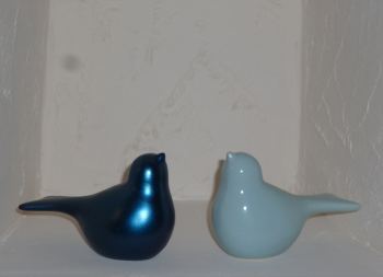 pantglas birds2.jpg